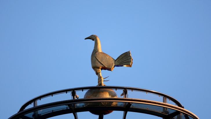 Tottenham Hotspur Stadium cockerel